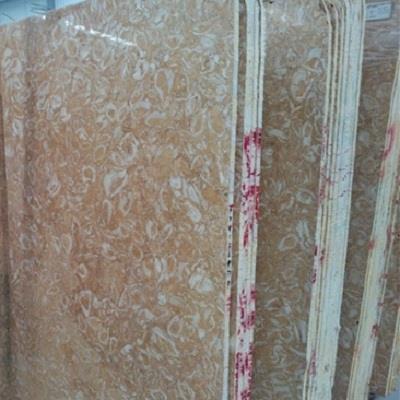 Shells Reef Gold Limestone Slabs & Tiles