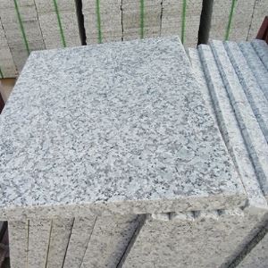 G439 Barbara White Granite Stairs & Steps