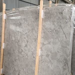 Thala Tunisia Grey Limestone Slabs & Thin Tile