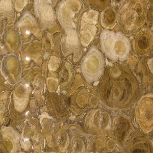 Beige Wood Jade Semiprecious Stone Wall Decoration