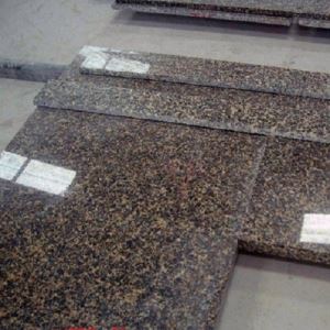 Leopard Skin Multicolor Granite Countertops