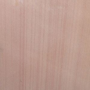 Pink Straight Vein Sandstone Slabs & Tiles