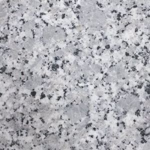 G430 Bala Flower Granite Slab