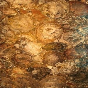 Wooden Stone Panel Brown Semiprecious Slabs