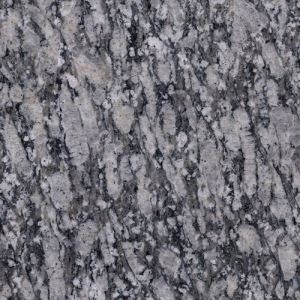 Zijiang White Granite Slab